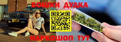 гидропоника Можга