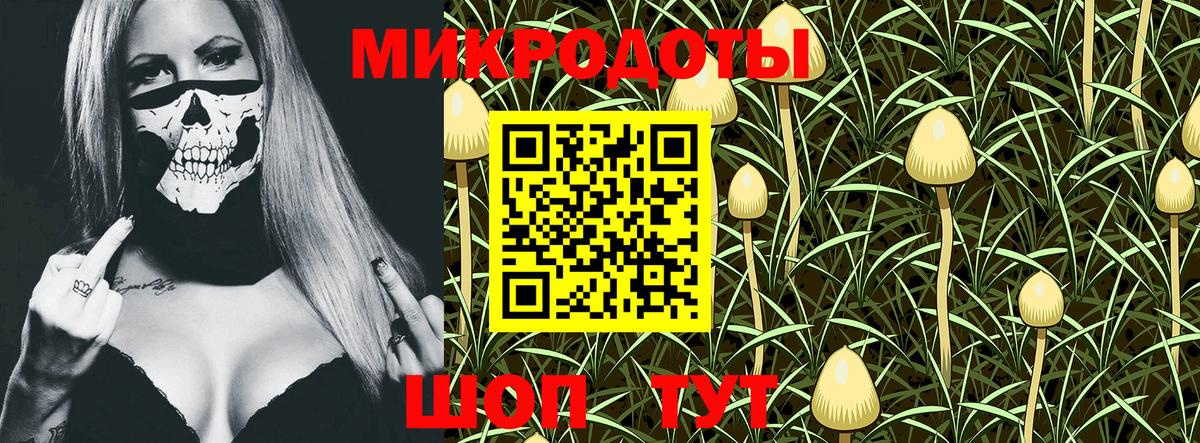 Псилоцибиновые грибы ЛСД Сарапул
